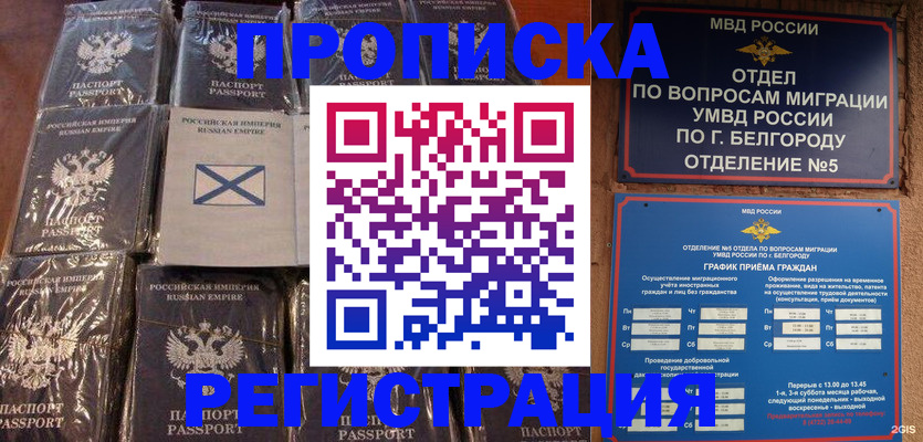 прописка гарантия в Михайловске